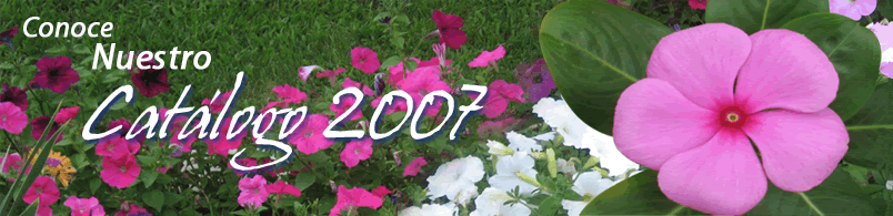 Catálogo 2007- Plantas y Flores Maya Flora